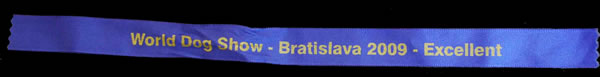 bratislava
